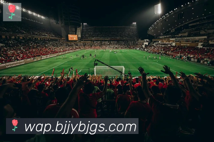 乐鱼网页版登录入口APP 体育赛事宣传图