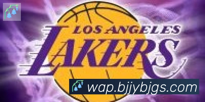 乐鱼网页版登录入口合作伙伴